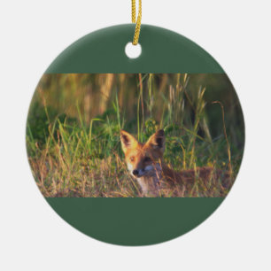 Vos Foto Ornament 