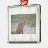 Vos Foto Ornament (Links)