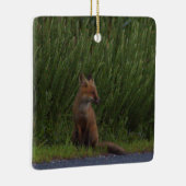 Vos Foto Ornament (Rechts)