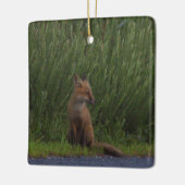 Vos Foto Ornament (Links)