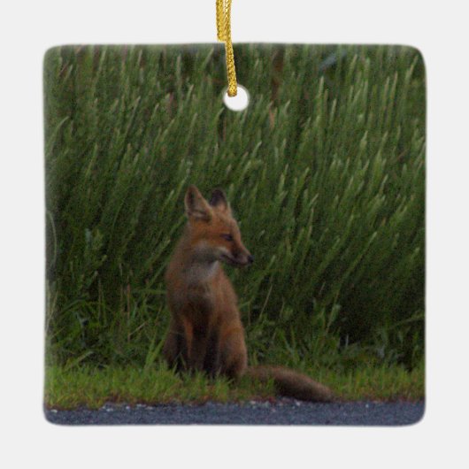 Vos Foto Ornament (Voorkant)