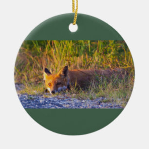 Vos Foto Ornament