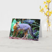 VOS OP BOOM KAART (Gele Bloem)