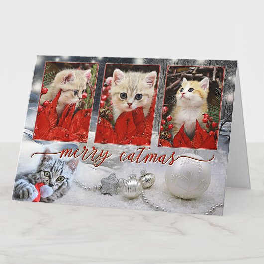 Vos Photos Chat Noël Carte Nouvel An