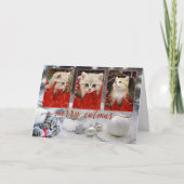 Vos Photos Chat Noël Carte Nouvel An (Devant)