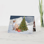 Vos Photos Chat Noël Carte Nouvel An (Dos)