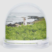 Vos Photos Neige Globes (Arrière)