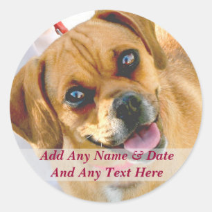 Vos Propres Stickers Photo Et Texte Personnalisé