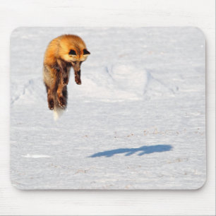 Vos Sprong Yukon, Canada Muismat