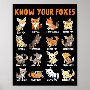 Vos Types Kawaii Vossen Grappig Educatief Dier Fo Poster