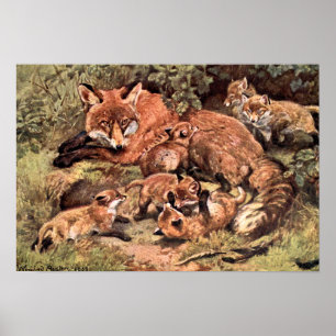 Vos Vixen met welpen door Austen, Antiek wild dier Poster