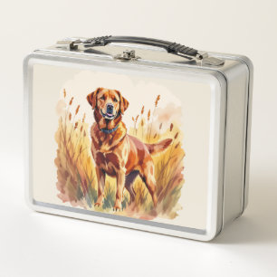 Vosrode Labradord retriever hond
