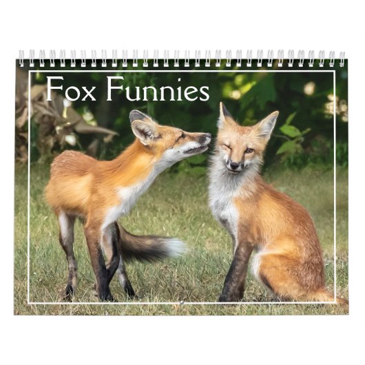 Vossen Funnies Kalender (Hoes)