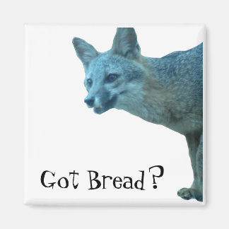 VOSSENMAGNEET MAGNEET