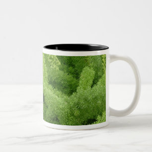 Vosstaartvaren, Asparagus densiflorus myers Tweekleurige Koffiemok