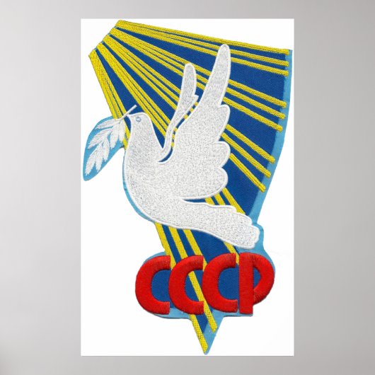 Vostok 6 - 1st Manned Spaceflight Patch Poster (Voorkant)