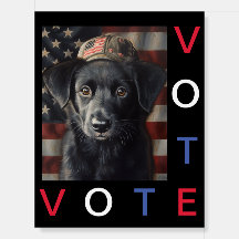 vote