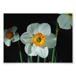 Votre agrandissement de photo personnalisé 18 x 13