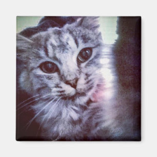 Votre animal de compagnie - Magnet personnalisé