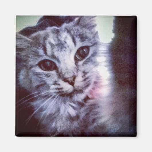 Votre animal de compagnie - Magnet personnalisé (Devant)