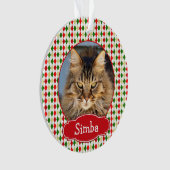 Votre animal de Noël Arlequin (devant)