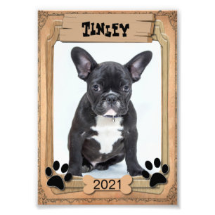 Votre animal familier de famille - modèle photo