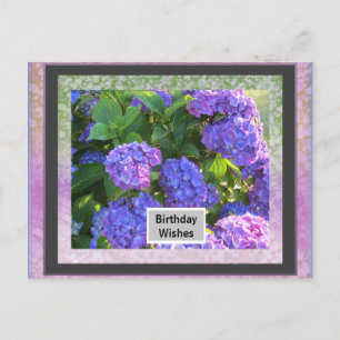 Votre cadre photo Carte postale Anniversaire