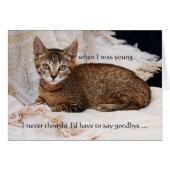 Votre Carte de voeux de Sympathie Photo Chat (Devant horizontal)