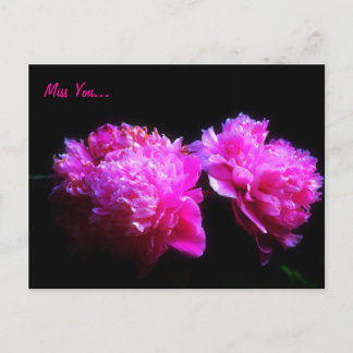 Votre carte postale Peony