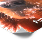 Votre célèbre affiche pour animaux de compagnie (Coin)