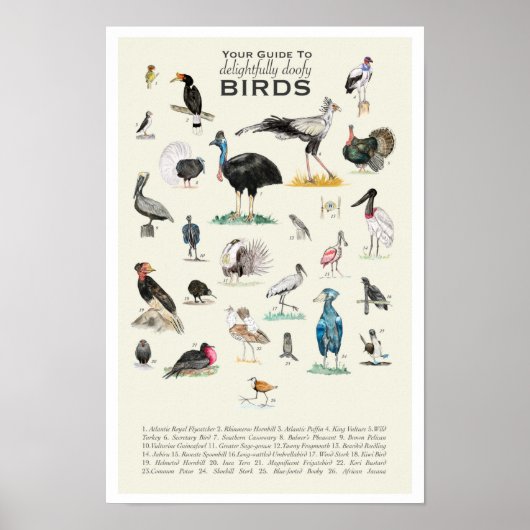 Votre guide des oiseaux de toiture 11x17 Poster (Devant)