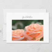 Votre invitation Fleurs de Rose à la Crème Texte (Devant)