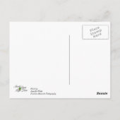 Votre logo ici sur carte postale Zazzle (Dos)