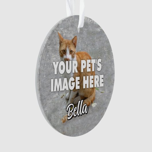 Votre photo de chat (devant)