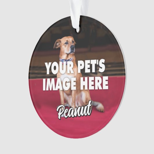 Votre photo de chien (devant)