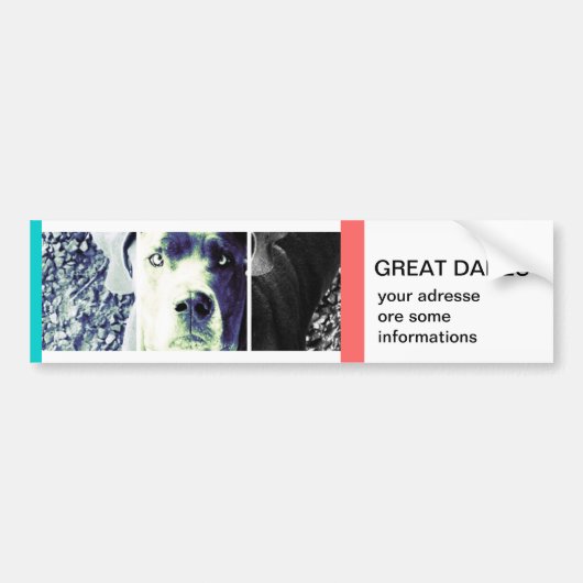 votre propre Bumper Sticker (Devant)