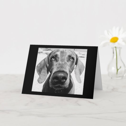 VOTRE RETRAITE "CHIEN CHANCEUX !" CARTE (Petite plante)