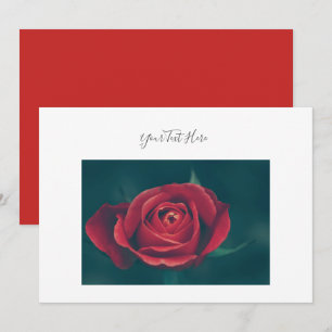 Votre texte Invitation Fleur de Rose Rouge Magnifi