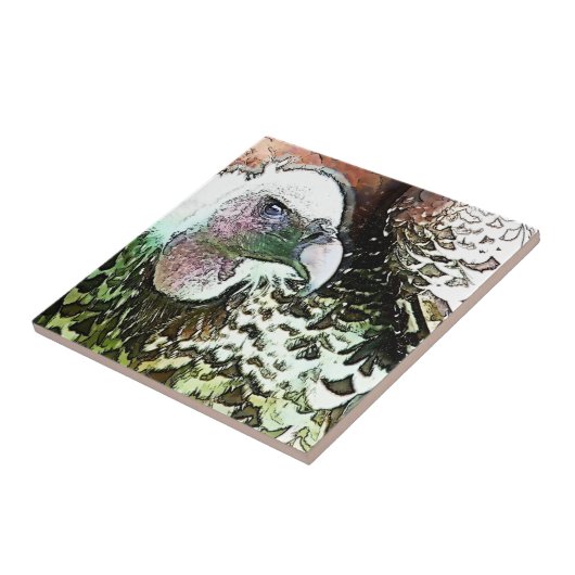 VOUDIGE VULTUUR TEGELTJE (Zijkant)