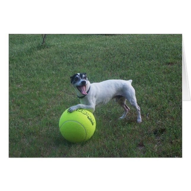 Voulez jouer ? (Devant horizontal)