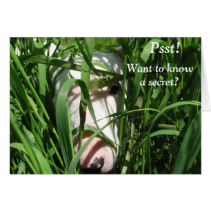 Voulez savoir un secret