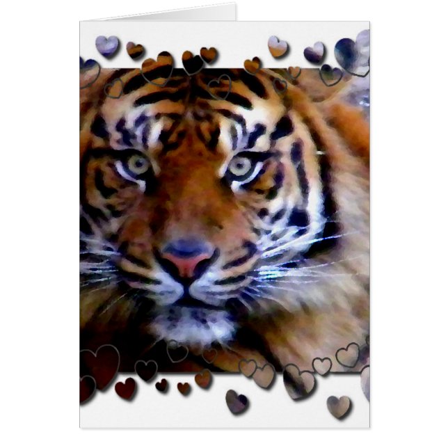 Vous aimer_ (Devant)