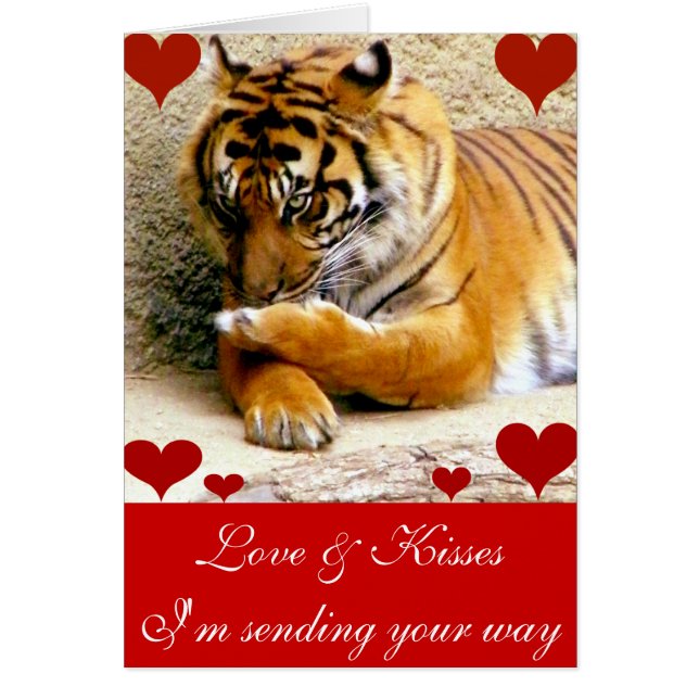 Vous aimez_ (Devant)