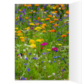 Vous aimez (Intérieur (Gauche))