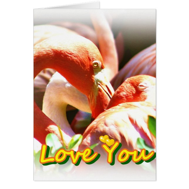 Vous aimez_ (Devant)