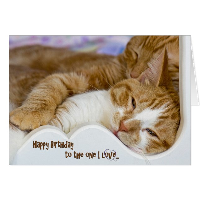 Vous aimez (Devant horizontal)