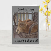 VOUS AVEZ "12 ANS" DIT SURPRISE CARTE CHAT (Fleur jaune)