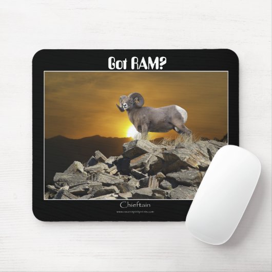 Vous avez de la RAM ? Tapis de souris (Avec souris)