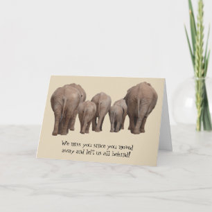 Vous Avez Déplacé Votre Carte Elephant