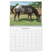 VOUS AVEZ DES POINTS ? CALENDRIER APPALOOSA 2011 (Mar 2026)